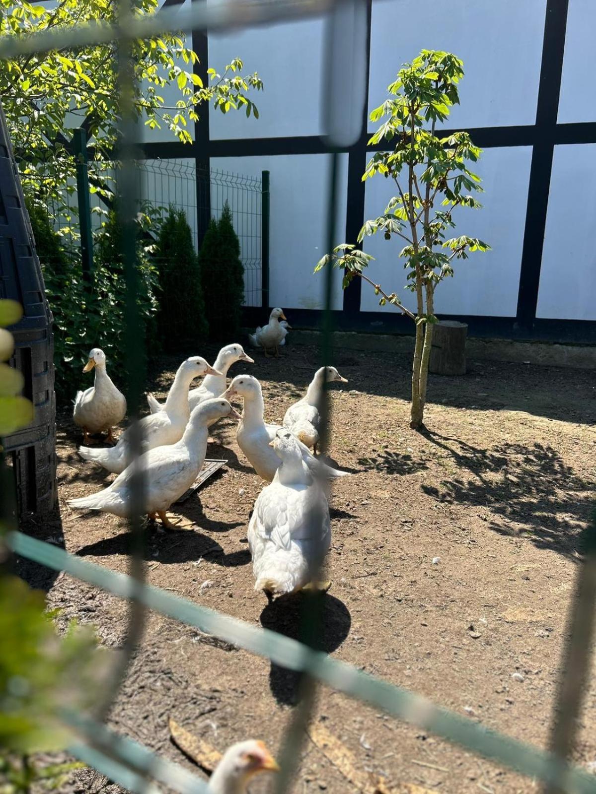 Pokoje Goscinne Nad Morzem Bobolin Luaran gambar