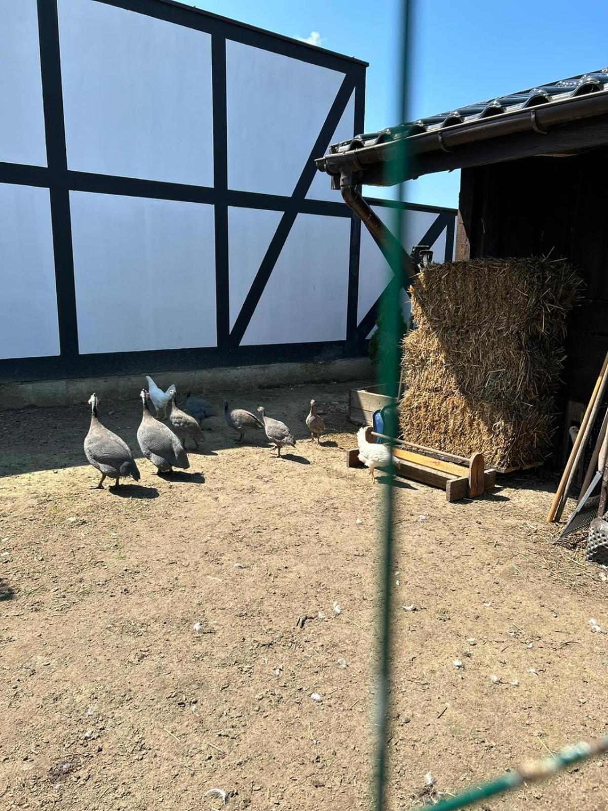 Pokoje Goscinne Nad Morzem Bobolin Luaran gambar